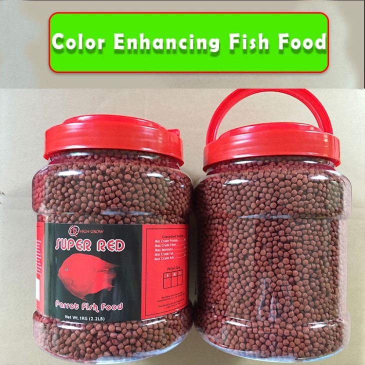 Red Parrot Fish Food Red Parrot Fish Food